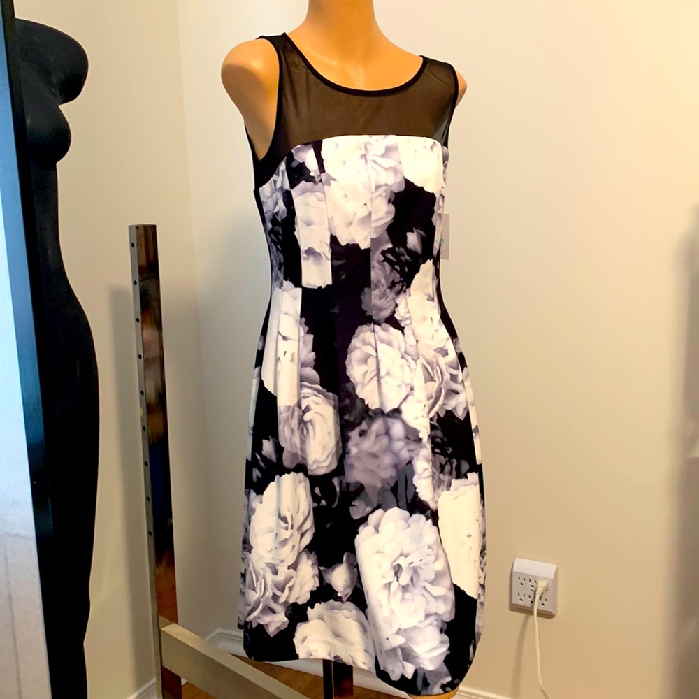 Softly sexy NWT CALVIN KLEIN romantic dress 8
